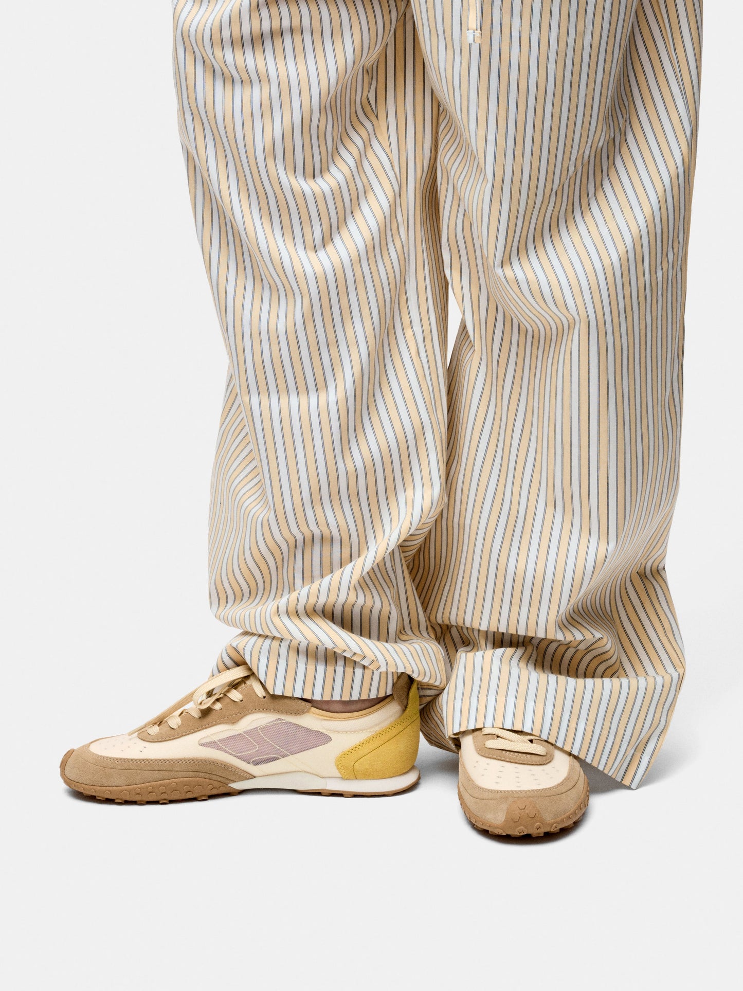 Bridge Mesh Camel